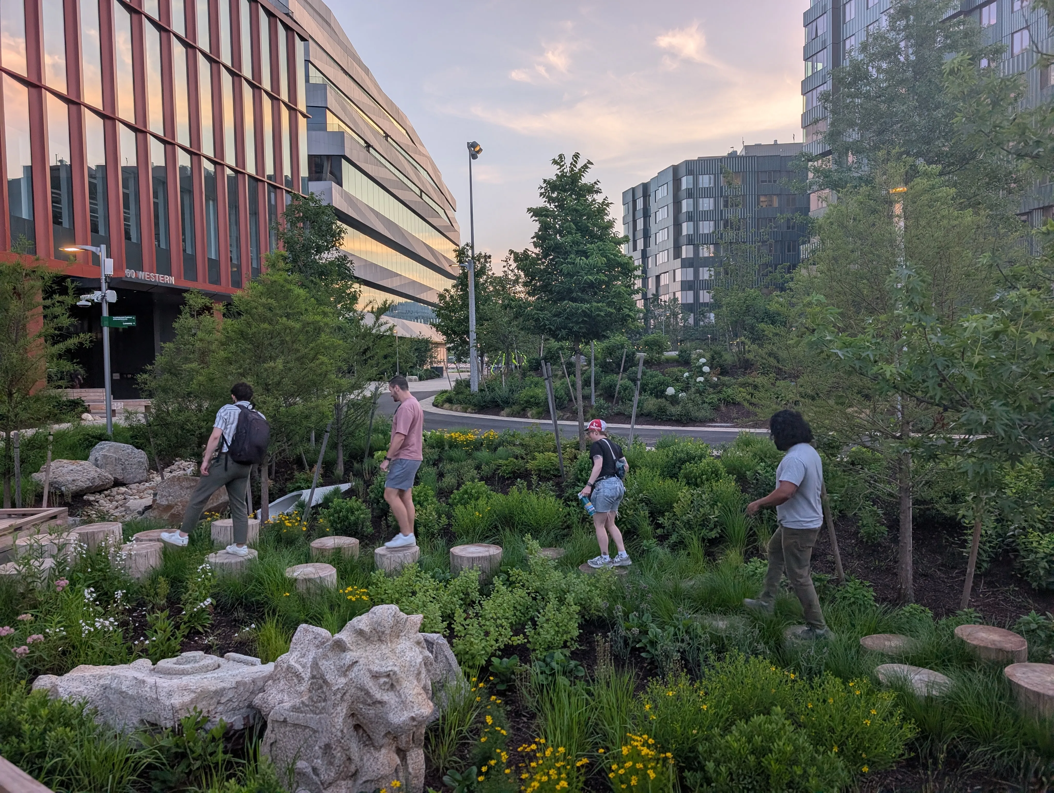 Wetland rain garden at Allstonway